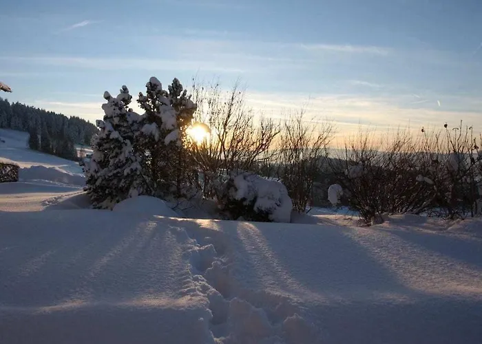 Schwaerzler Tatil Evi *